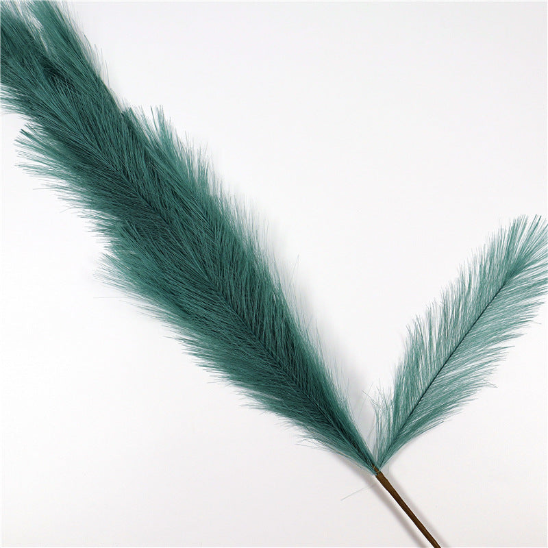 Natural Pampas Grass