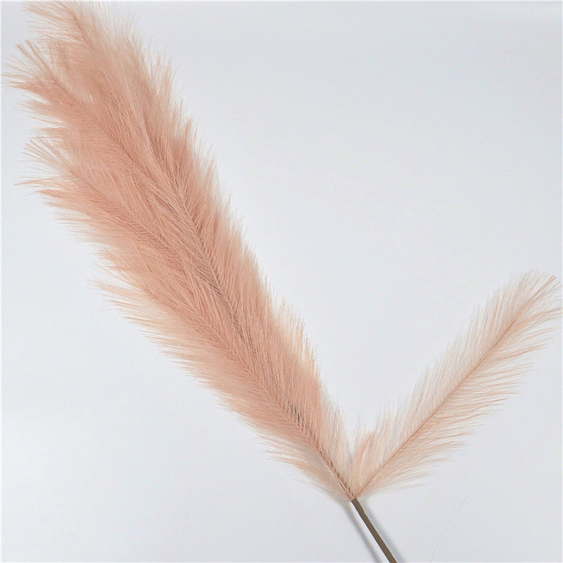 Natural Pampas Grass