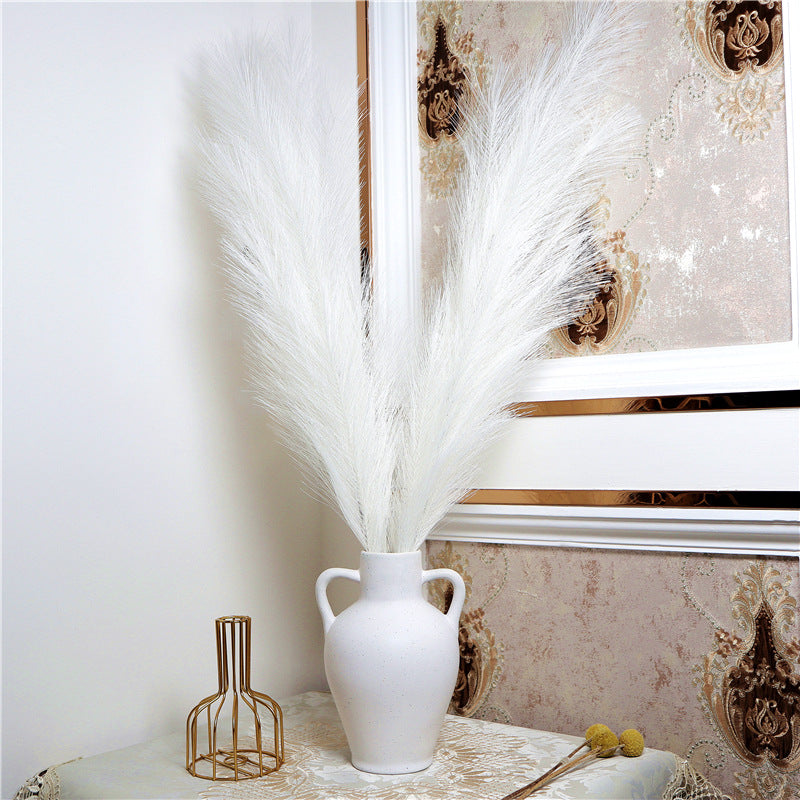 Natural Pampas Grass
