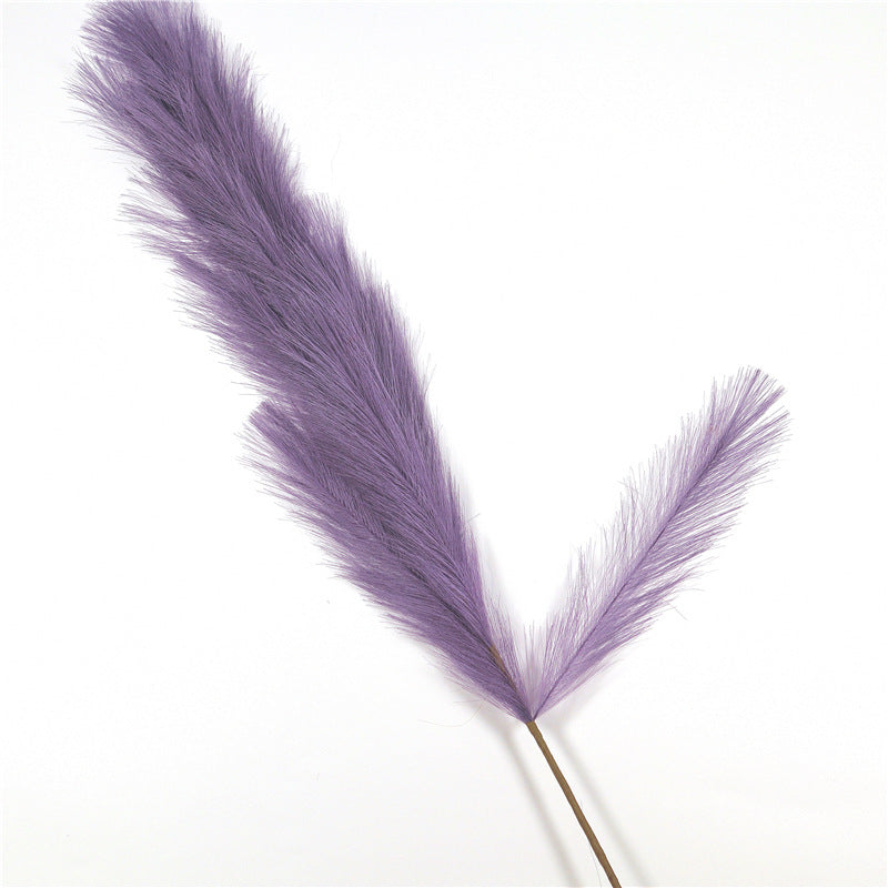 Natural Pampas Grass