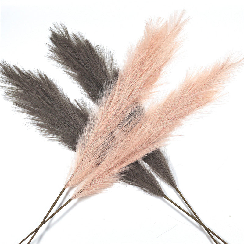 Natural Pampas Grass